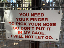 The bird will not give you your finger back