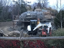 The Bobcat exhibit at the zoo