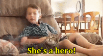 The boy saved from a dog attack thanks his cat 