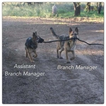 The branch manager