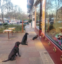 The Breakfast Pretzel Rush in Germany