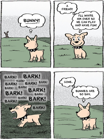 The Bunny
