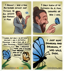 The Butterflys Dream