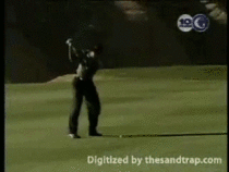 The cameraman asked Tiger to aim for the camera