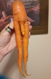 The carrot my mom found