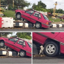 The cars owner was so lucky to have the cat there