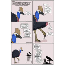 The Cassowary 