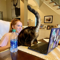 The cat loves to show her  during the daughters virtual clASSes