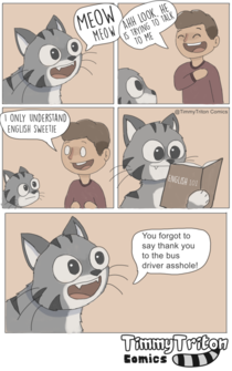 The Cat That Speaks The Truth
