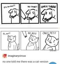 The cat version