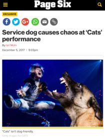 The catastrophe was pretty ruff on the actors