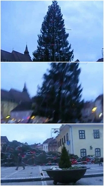 The Christmas tree in our town fell down and I was there to photograph it
