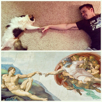 The Creation of Cat