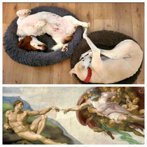 The Creation of Dog OC