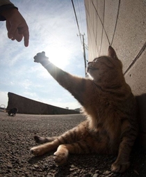 The Creation of Internet