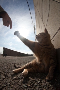 The Creation of Reddit