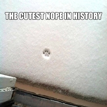 The cutest nope in history