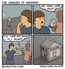 The Dangers of Veganism
