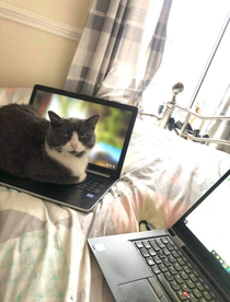 The decoy laptop is working