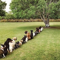 The devastating effect of deforestation