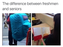 The difference between freshmen and seniors