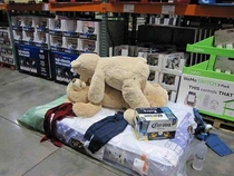 The displays at Costco are getting better