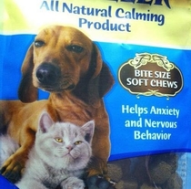 The dog and cat on this bag of treats both look high as a kite