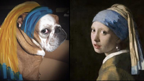 The dog with the pearl earring