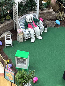 The Easter Bunny was at the mall today appears unenthused