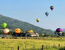 The elk are lining up for balloon rides