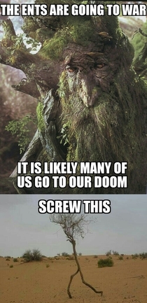 The Ents are going to war
