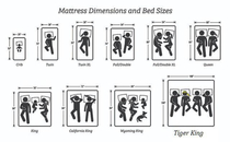 The Exotic Guide to Mattresses