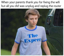 The Expert