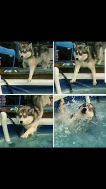 The face of regret