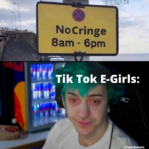 The Fall Of The Tik Tok E-Girls