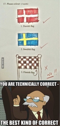 The finnish flag 
