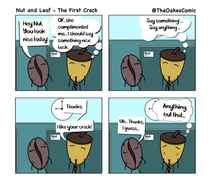 The First Crack