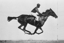The first film that proved that for one moment all of a horses feet are off the ground 