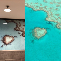 The first picture how heart Island is advertised in the Brisbane airport The second picture is my unedited cell phone picture