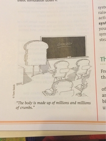 The first time Ive ever laughed at a school book