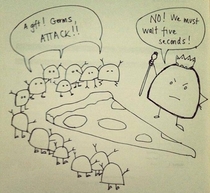 The five second rule