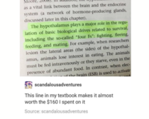 The four Fs in this textbook