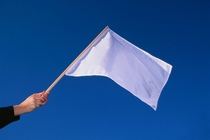 The French team is giving out flags before tomorrows match against Germany