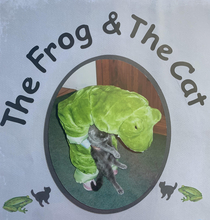 The Frog and The Cat