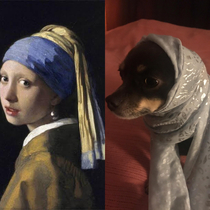 The Girl with a Pearl Earring