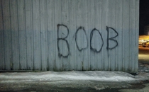 The graffiti in my hometown is pretty hardcore
