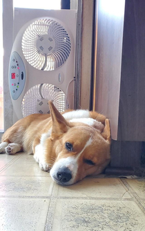 The heat affects us all