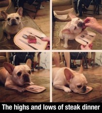 The highs and lows of steak dinner