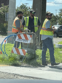 The I work in construction beard as seen in the wild