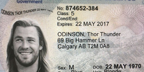 The ID was fake but this means that Thor is now officially from Canada and none of you can convince me otherwise